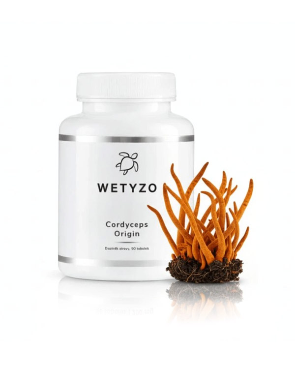 Cordyceps Origin
